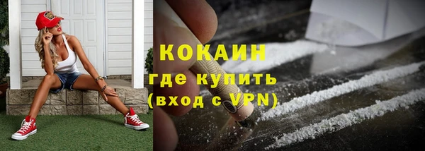 прущие грибы Заводоуковск