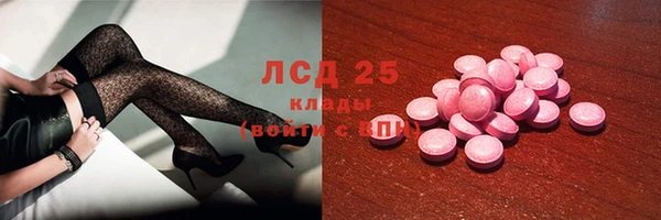прущие грибы Заводоуковск
