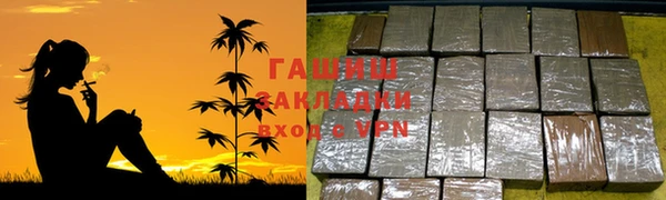 прущие грибы Заводоуковск