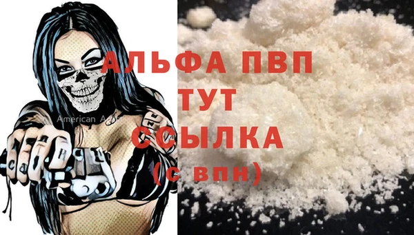 прущие грибы Заводоуковск