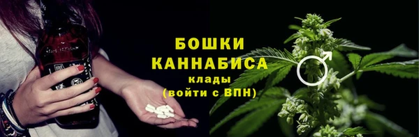 прущие грибы Заводоуковск