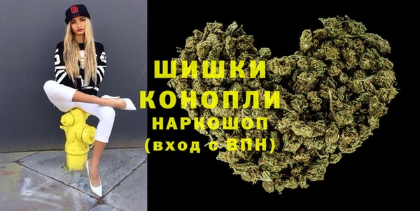 прущие грибы Заводоуковск