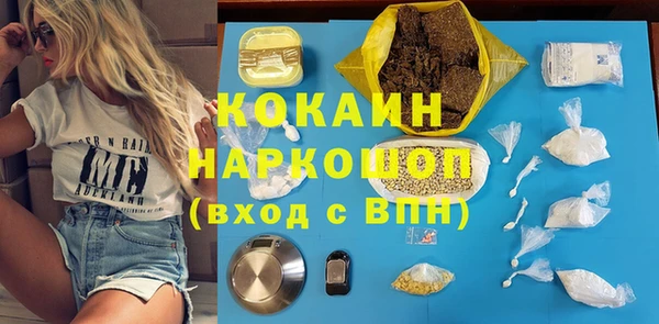прущие грибы Заводоуковск