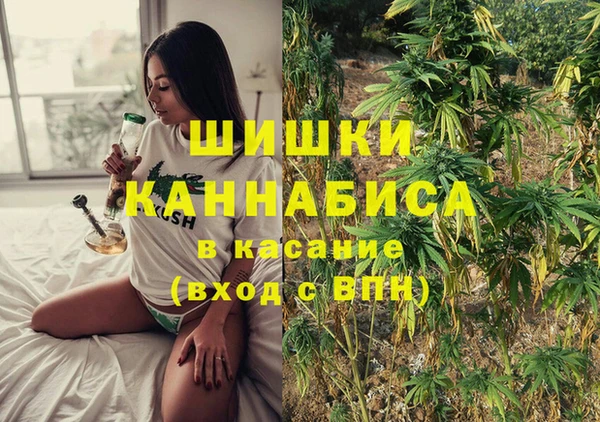 прущие грибы Заводоуковск