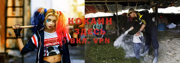 прущие грибы Заводоуковск