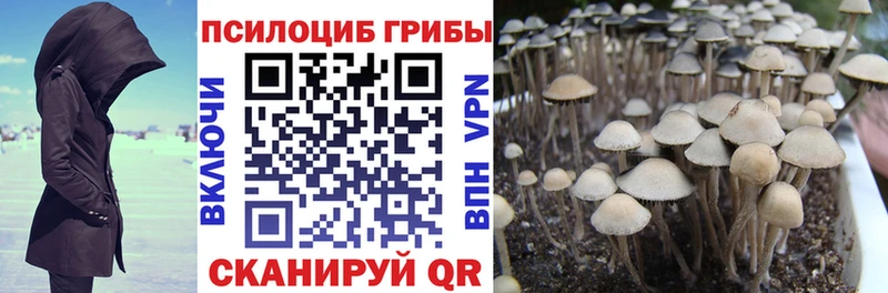Галлюциногенные грибы Cubensis  купить   Северодвинск 